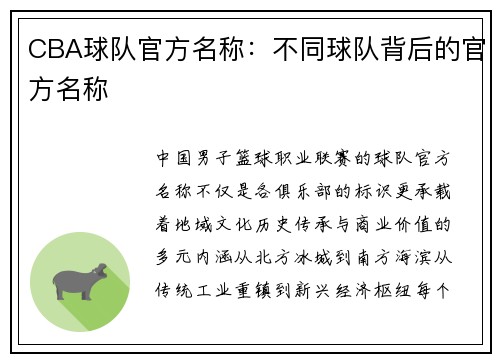 CBA球队官方名称：不同球队背后的官方名称